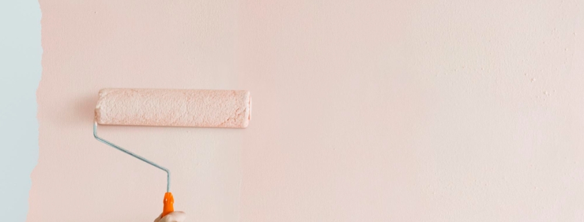 Falfesték pollenérzékenyeknek – egészséges beltéri levegő a választáson múlik - egrokorr.hu